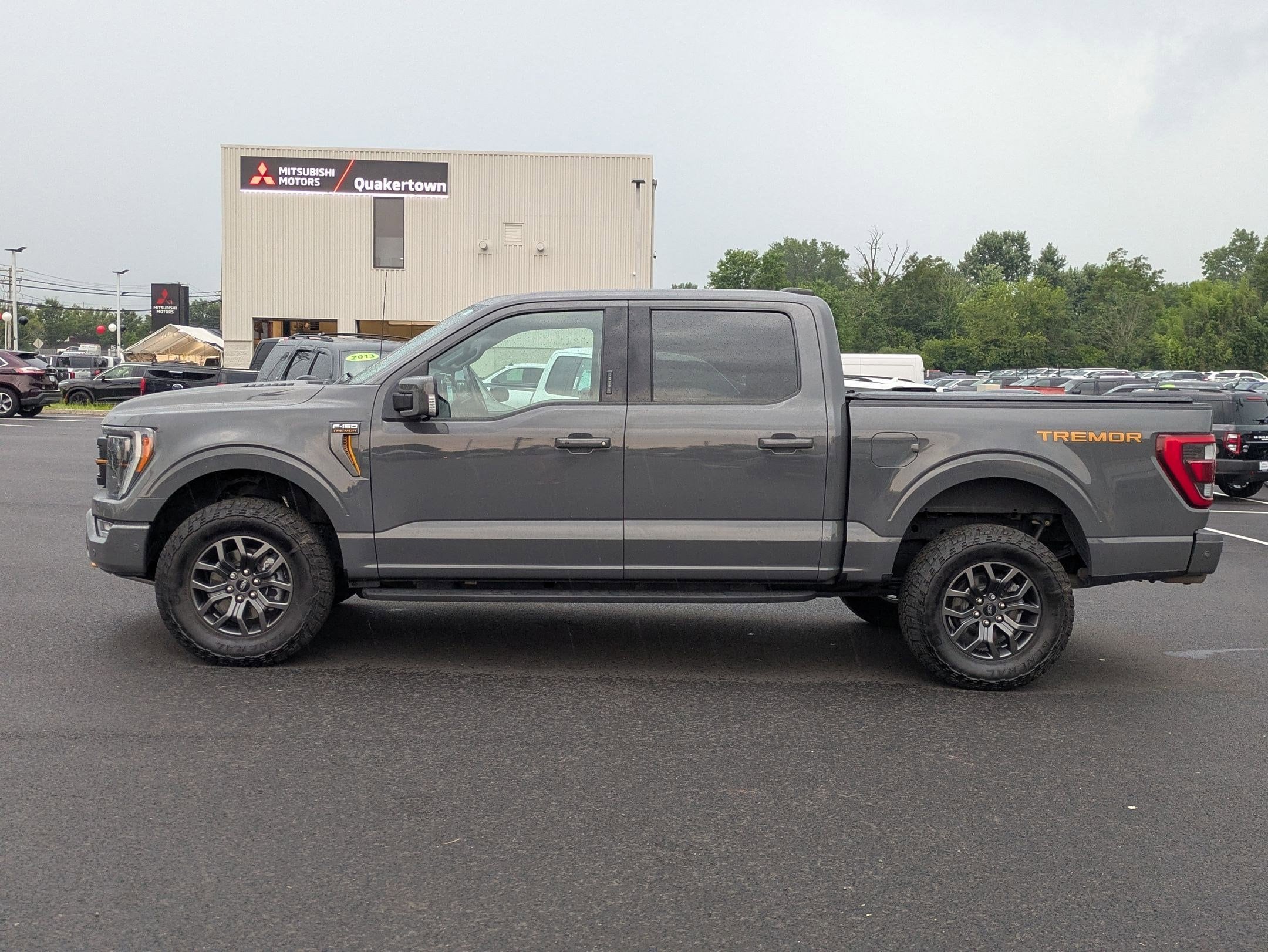 2021 Ford F-150 Tremor photo 4