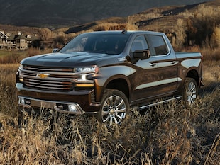 2019 Chevrolet Silverado 1500 Custom Trail Boss Truck Crew Cab