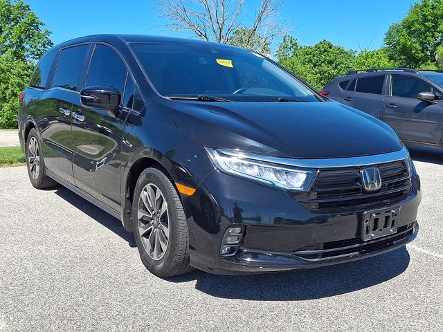 2023 Honda Odyssey EX-L's photo