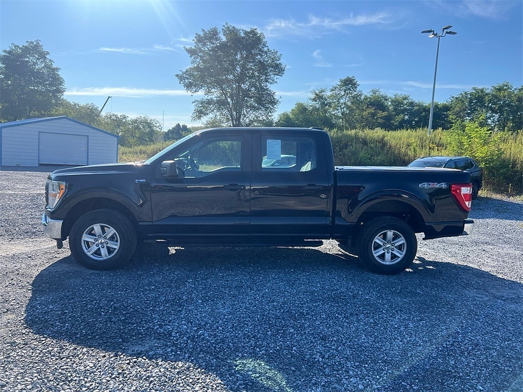 2021 Ford F-150 XL photo 3