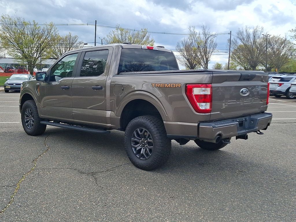 2021 Ford F-150 Tremor - Photo 7