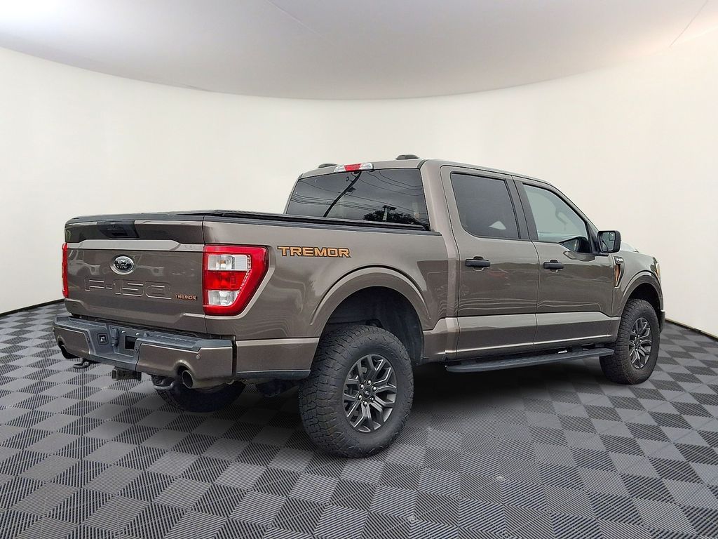 2021 Ford F-150 Tremor - Photo 8