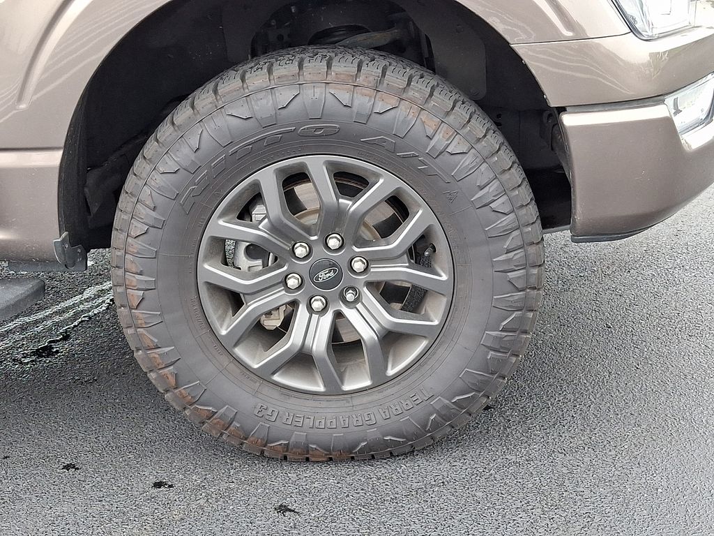 2021 Ford F-150 Tremor - Photo 10