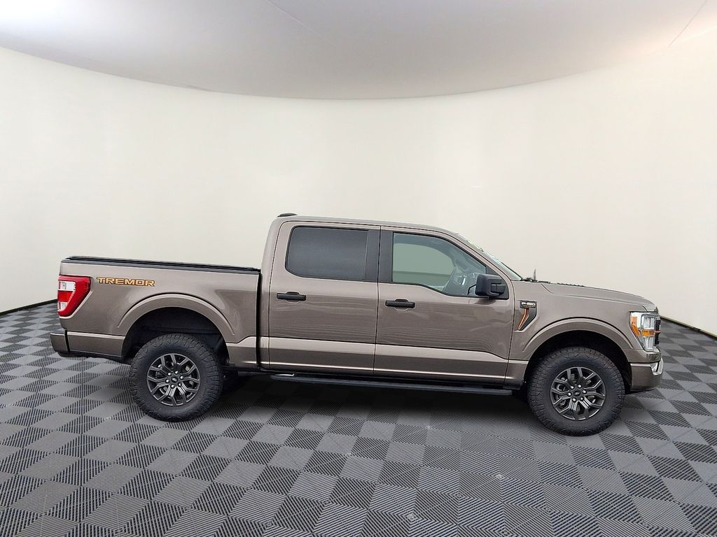2021 Ford F-150 Tremor - Photo 9