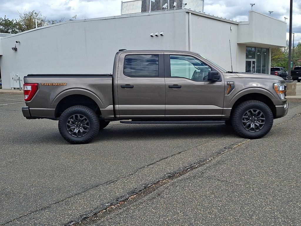 2021 Ford F-150 Tremor - Photo 10