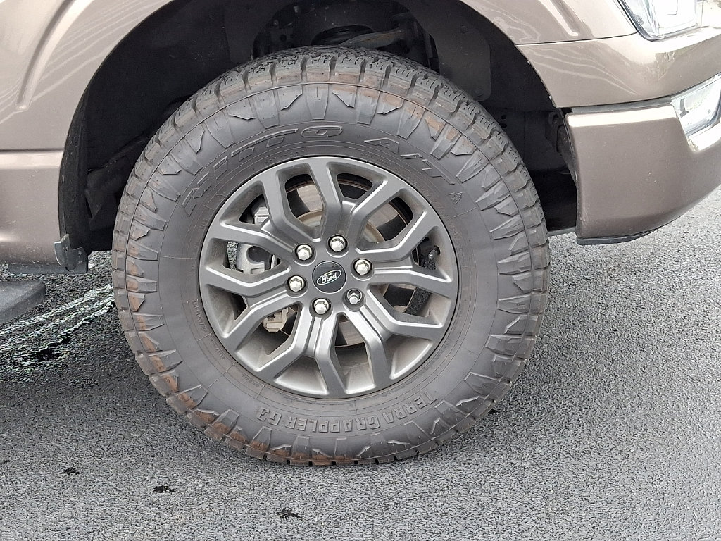 2021 Ford F-150 Tremor - Photo 11