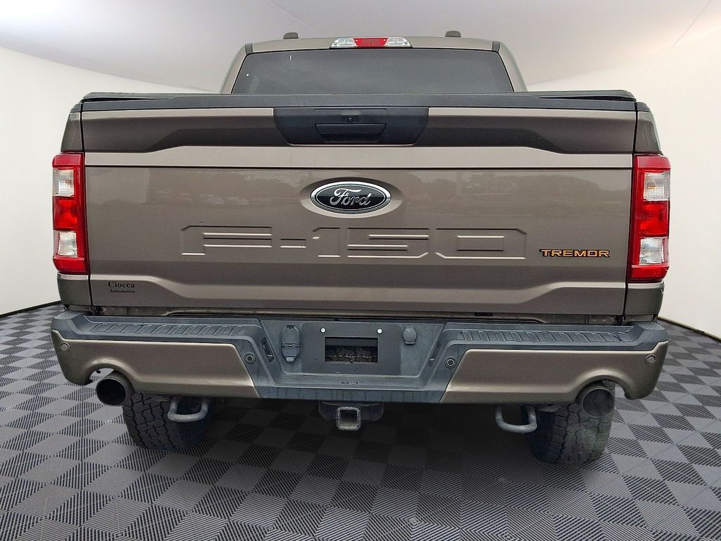 2021 Ford F-150 Tremor - Photo 7