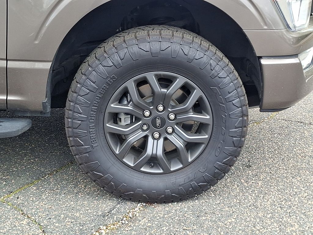 2021 Ford F-150 Tremor - Photo 11