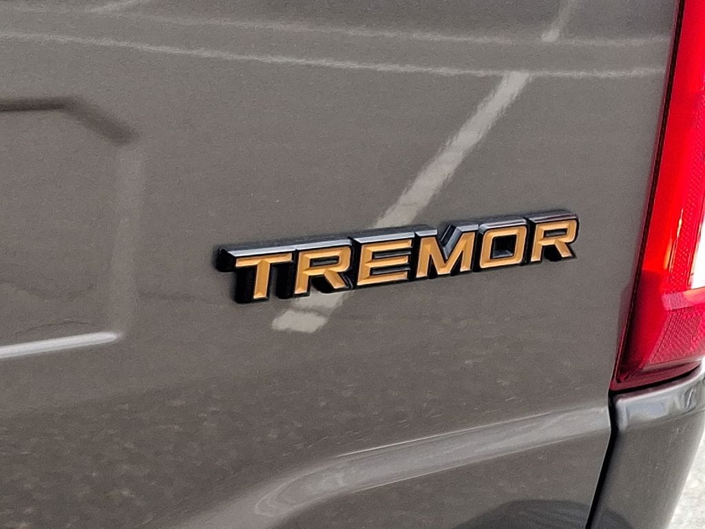 2021 Ford F-150 Tremor - Photo 32