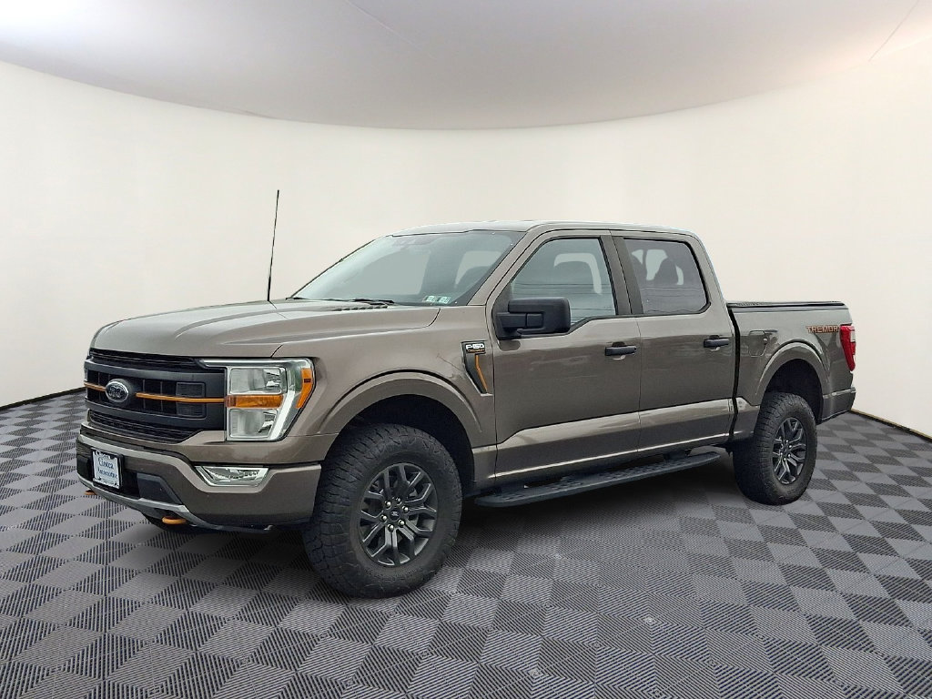 2021 Ford F-150 Tremor - Photo 6