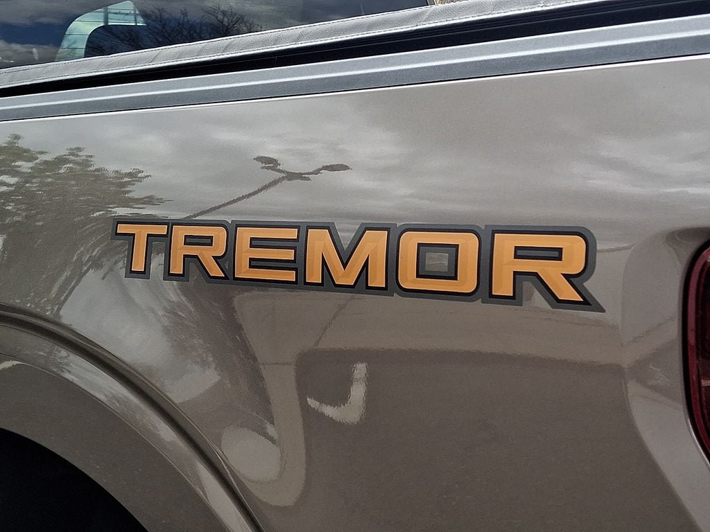 2021 Ford F-150 Tremor - Photo 31