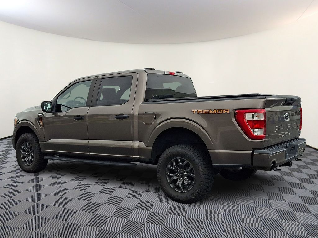 2021 Ford F-150 Tremor - Photo 6