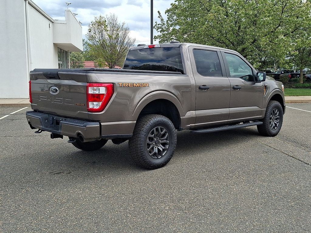 2021 Ford F-150 Tremor - Photo 9