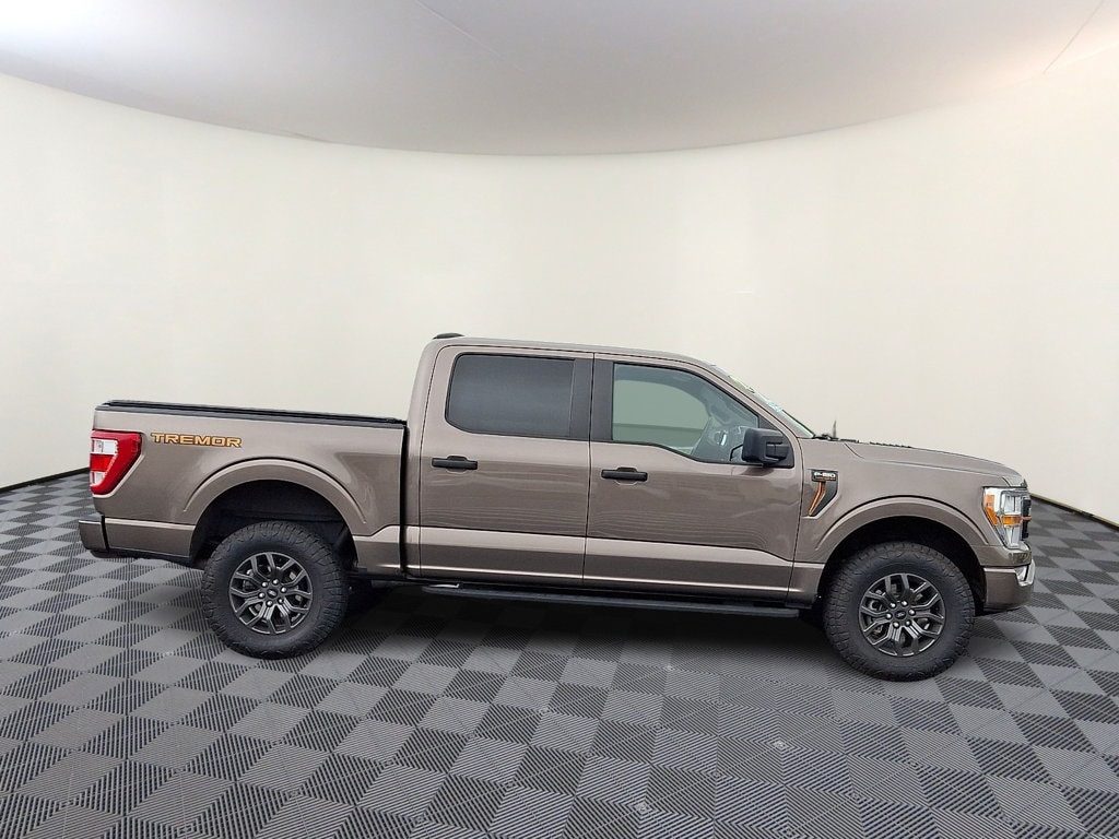 2021 Ford F-150 Tremor - Photo 9