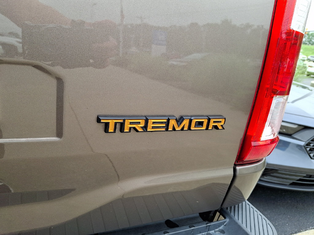 2021 Ford F-150 Tremor - Photo 31