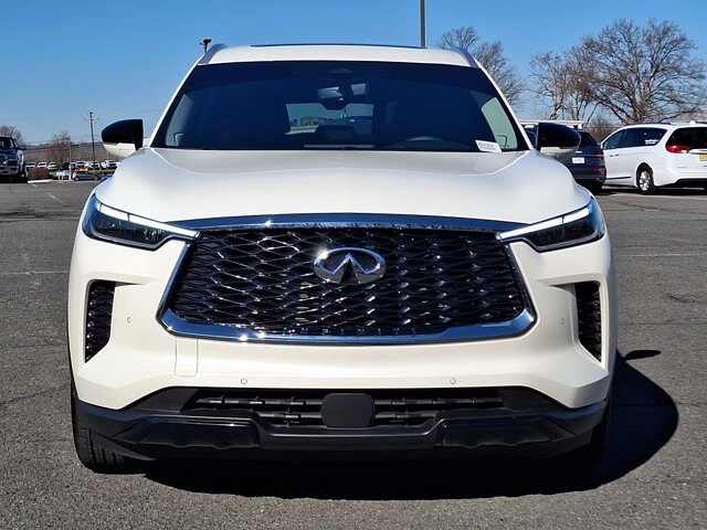 2024 Infiniti QX60 Luxe photo 2
