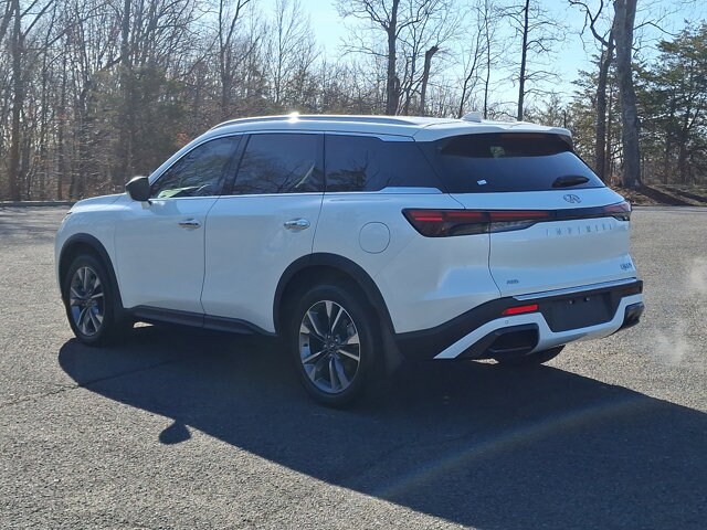 2024 Infiniti QX60 Luxe photo 4