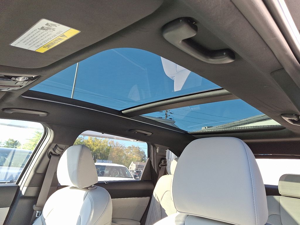 2025 Kia Sorento SX Prestige - Photo 11
