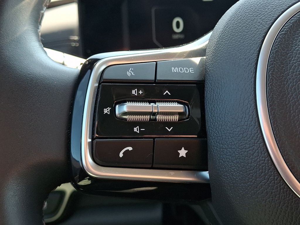 2025 Kia Carnival SX - Photo 24