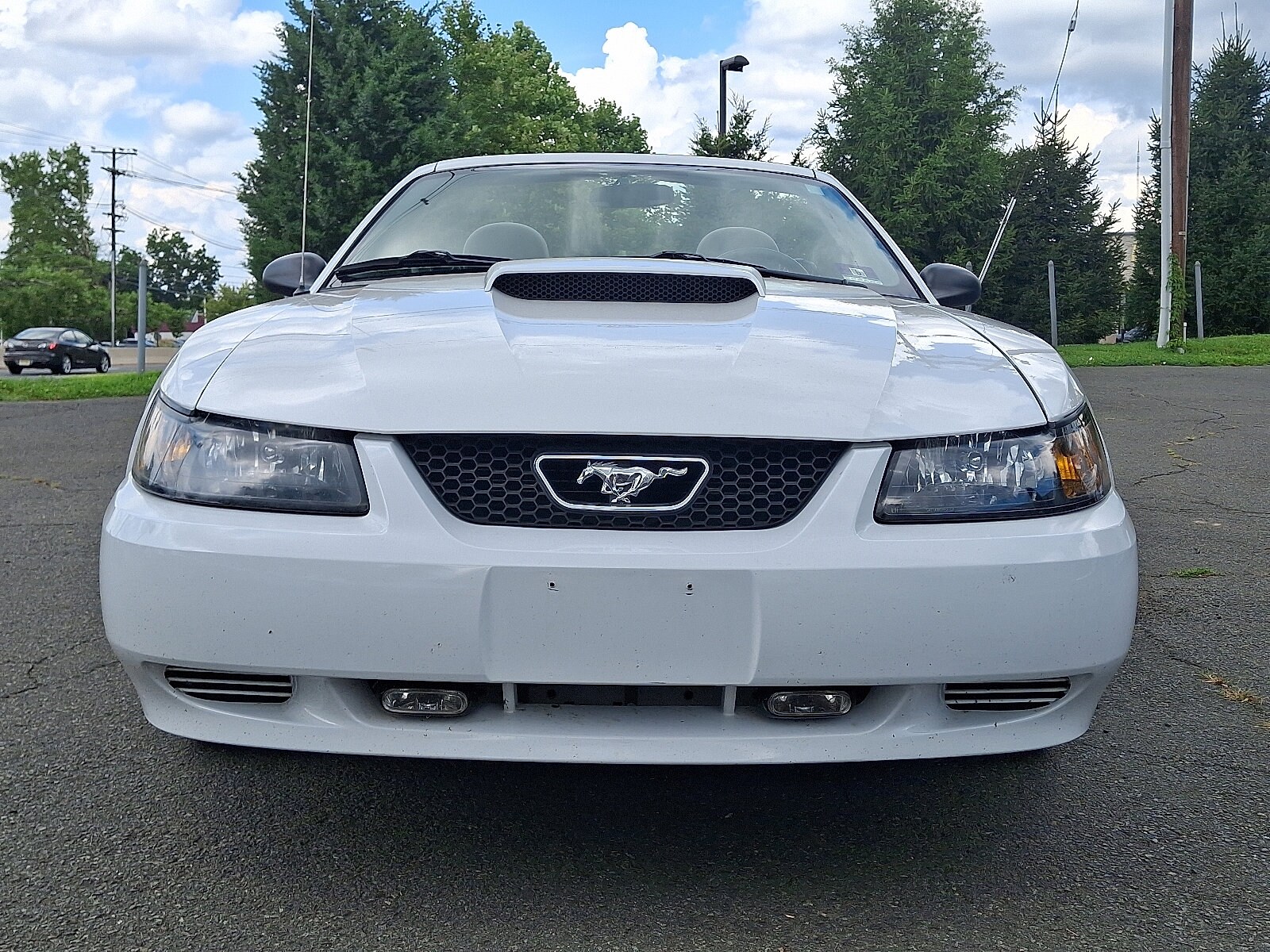 2003 Ford Mustang V6 Convertible photo 2