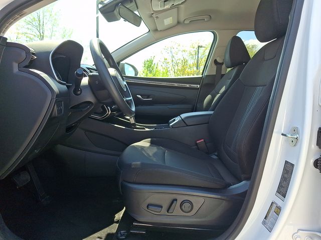 View 15
