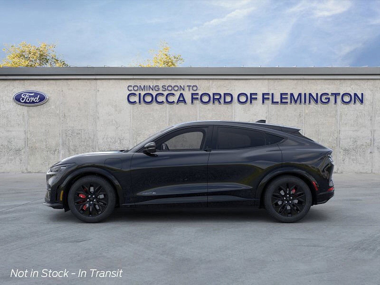 2025 Ford Mustang Mach-E Premium photo 3