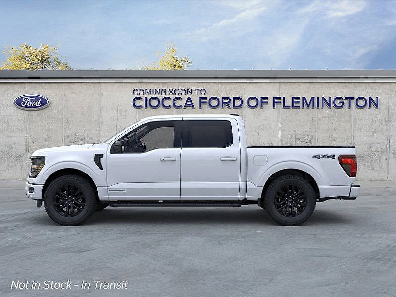 2025 Ford F-150 XLT photo 3