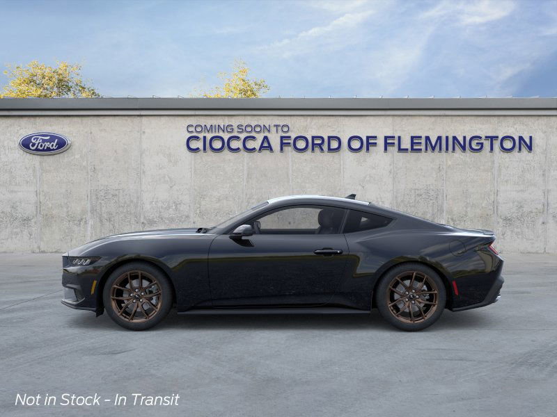 2025 Ford Mustang EcoBoost Premium photo 3