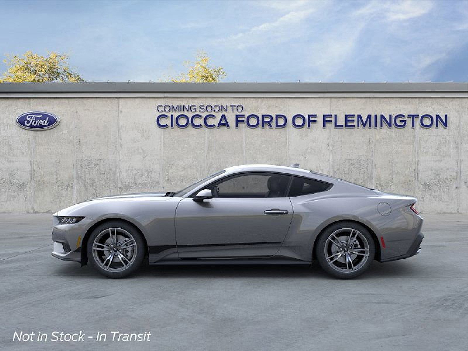 2025 Ford Mustang EcoBoost photo 3