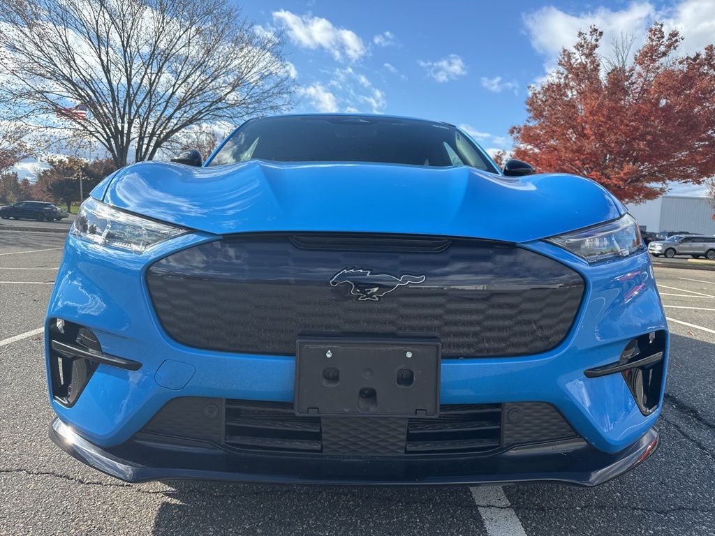 2021 Ford Mustang Mach-E GT photo 3