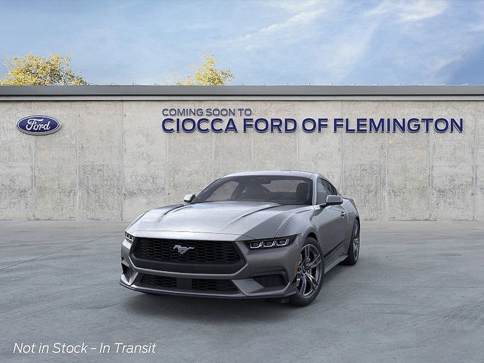 2025 Ford Mustang EcoBoost photo 2