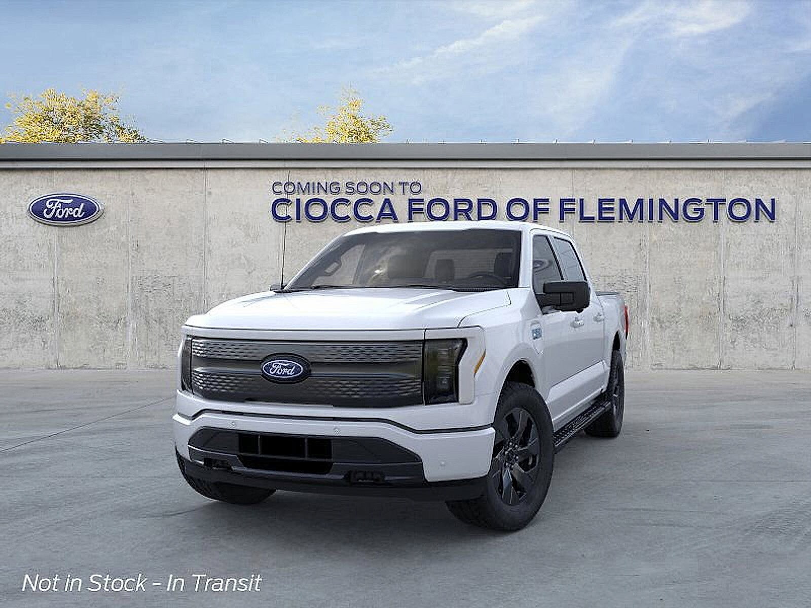 2025 Ford F-150 Lightning photo 2
