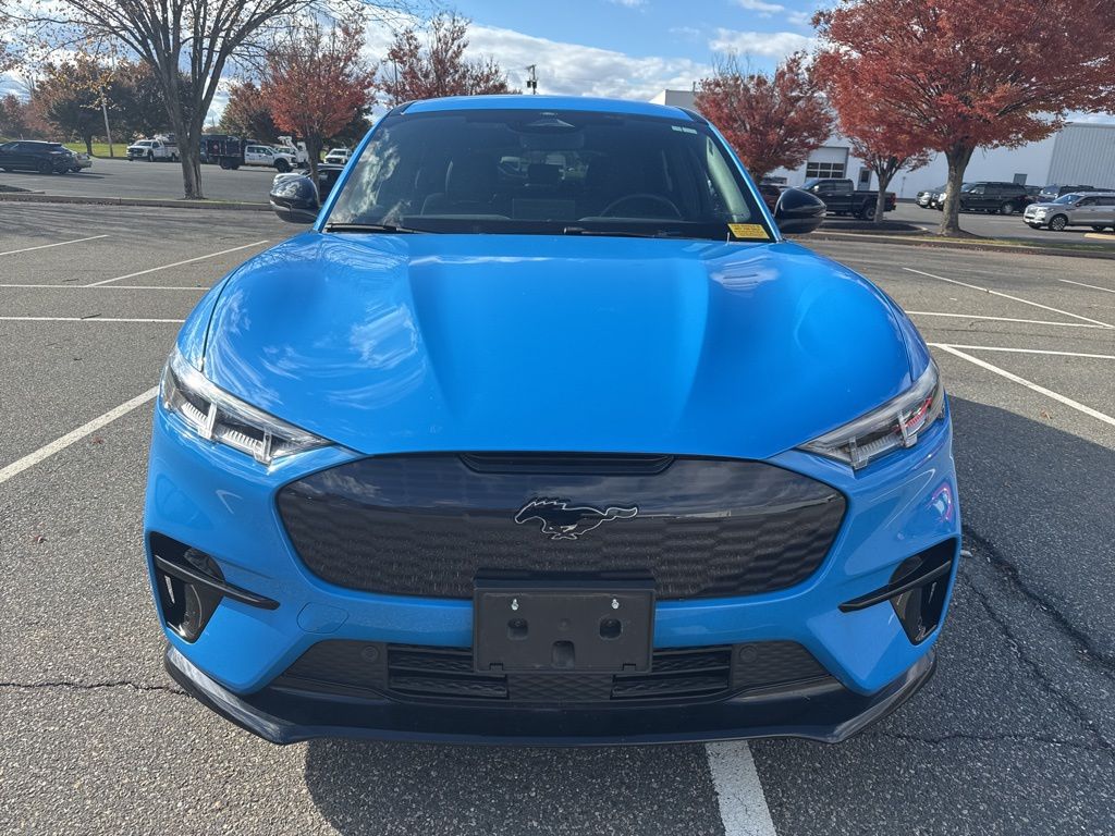 2021 Ford Mustang Mach-E GT photo 4