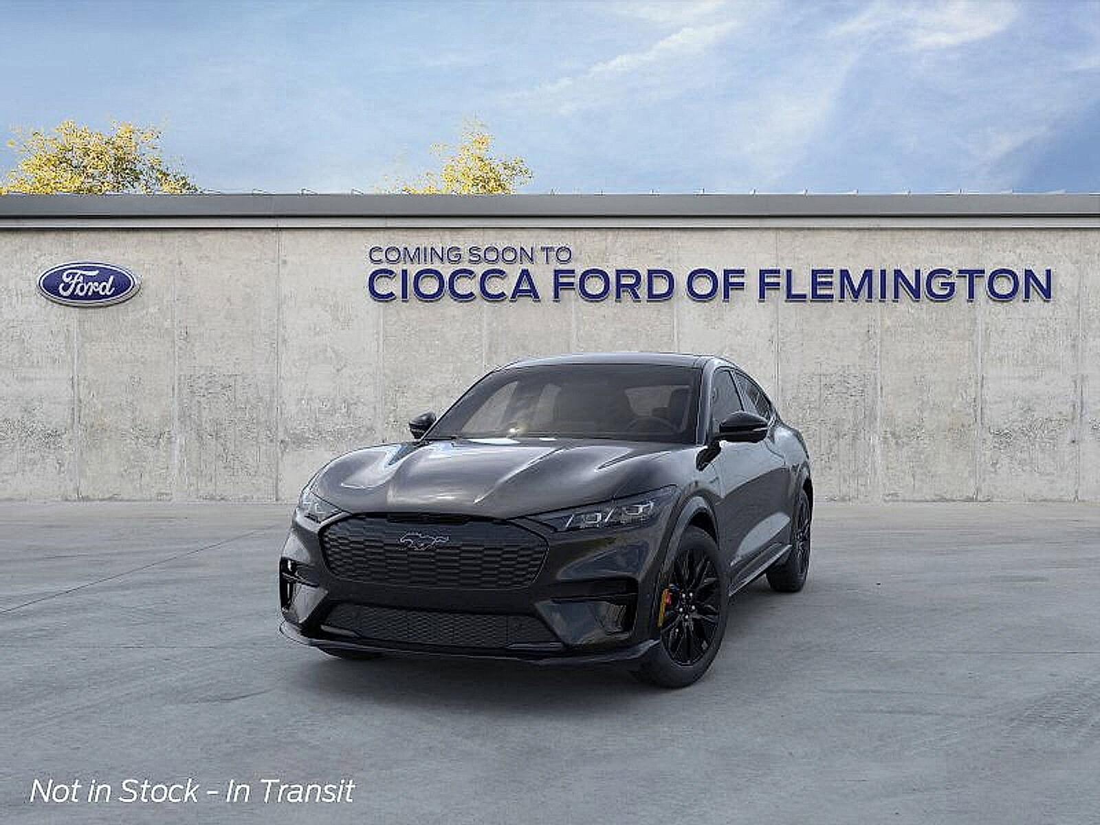 2025 Ford Mustang Mach-E Premium photo 2