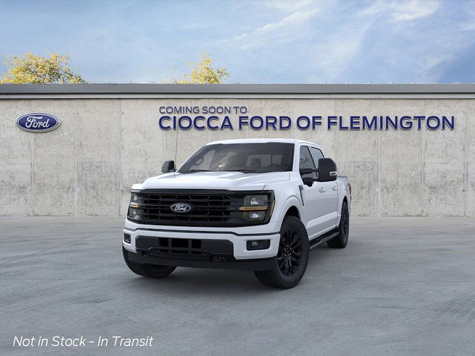 2025 Ford F-150 XLT photo 2