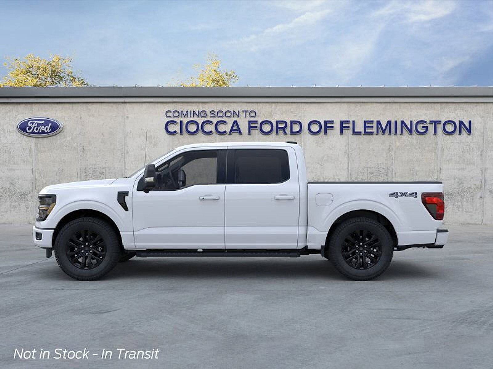 2025 Ford F-150 XLT photo 3