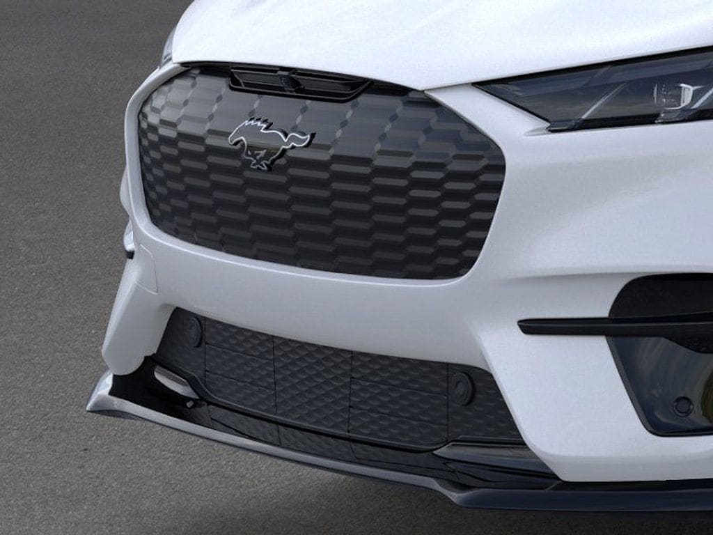 2025 Ford Mustang Mach-E GT - Photo 17