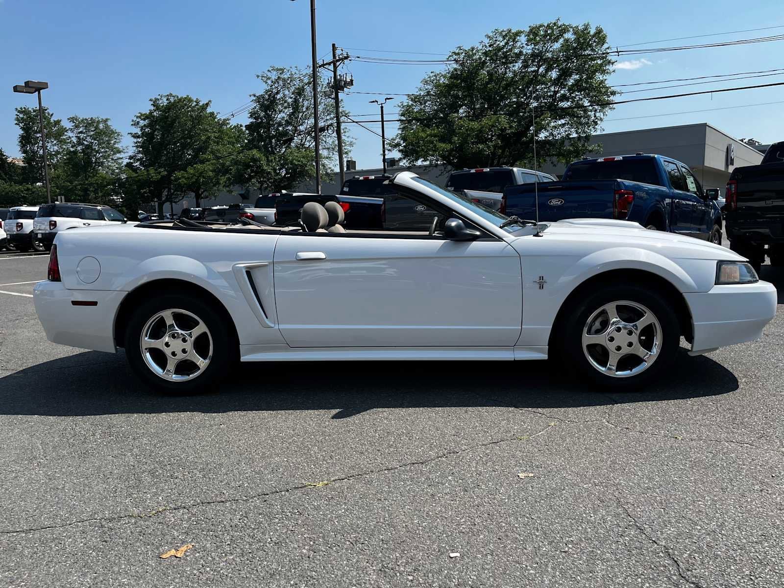 Used 2003 Ford Mustang Deluxe with VIN 1FAFP44433F448380 for sale in Lawrence, NJ