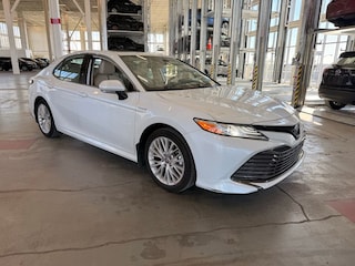 2020 Toyota Camry Hybrid XLE Sedan for sale in Muncy PA