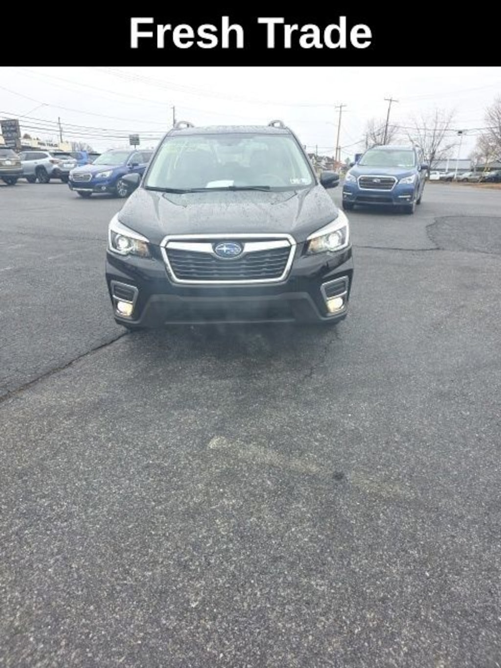 Used 2019 Subaru Forester Limited SUV