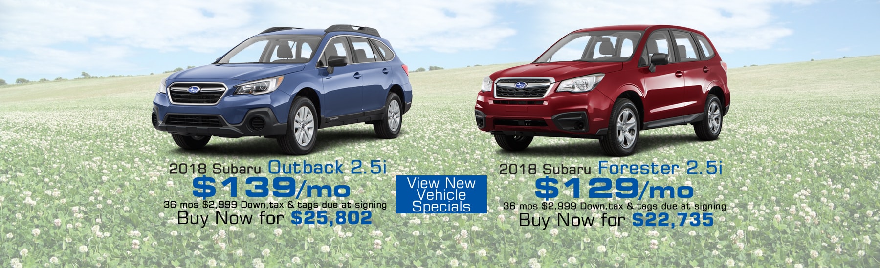 Subaru Dealer Allentown PA Ciocca Subaru near Emmaus, Doylestown