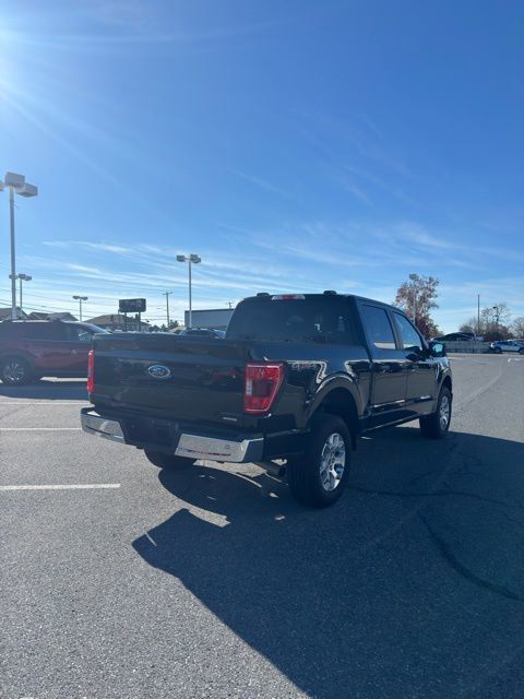 2023 Ford F-150 XLT photo 4