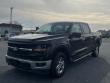 Used 2024 Ford F-150 XLT Truck SuperCrew Cab