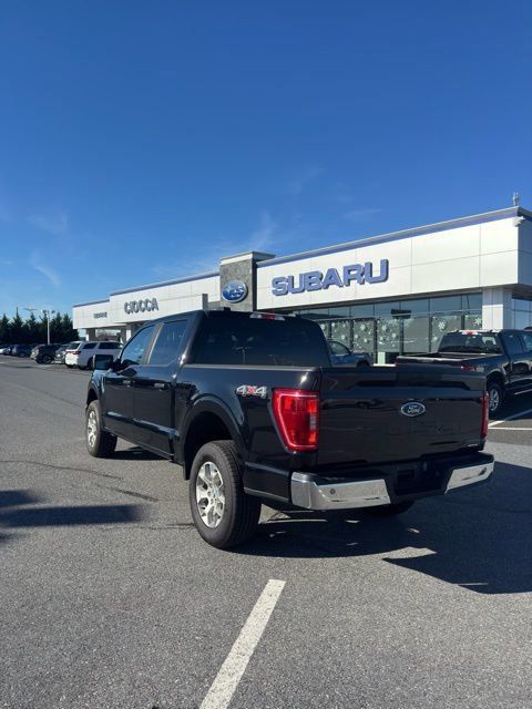 2023 Ford F-150 XLT photo 3