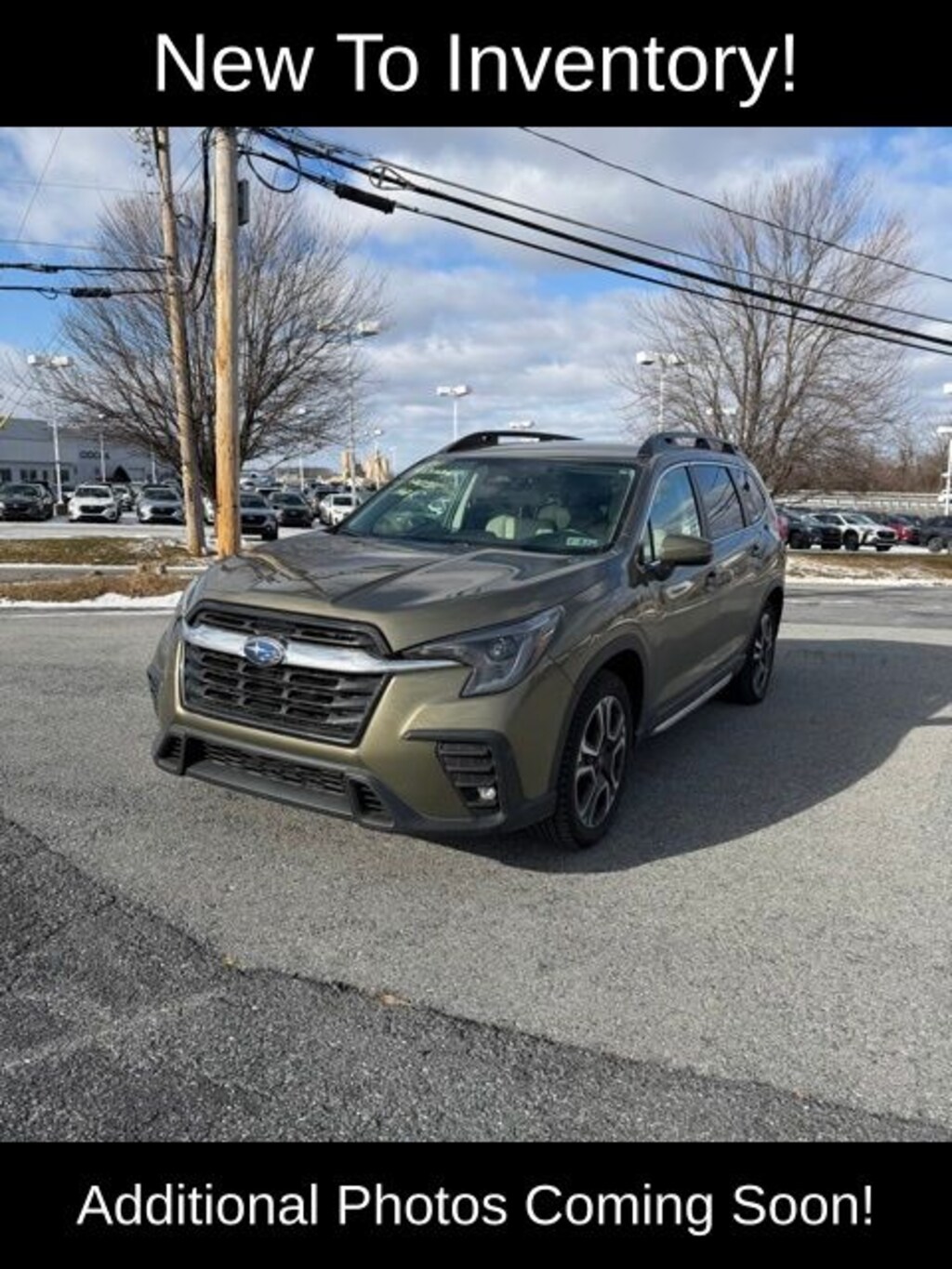 Used 2023 Subaru Ascent Limited SUV