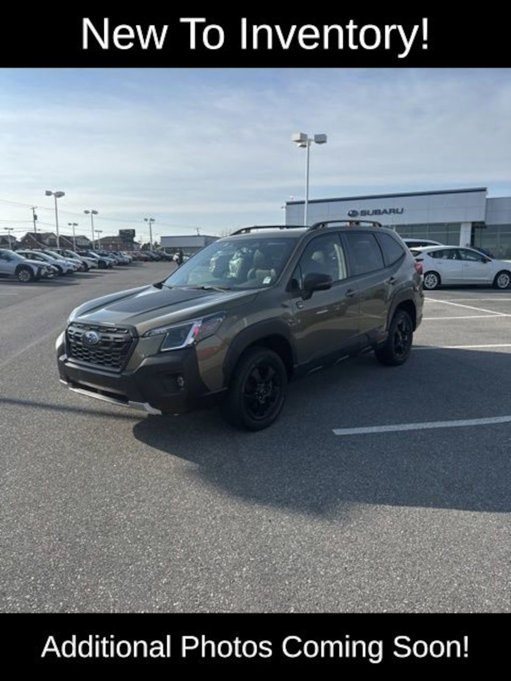 Used 2022 Subaru Forester Wilderness SUV