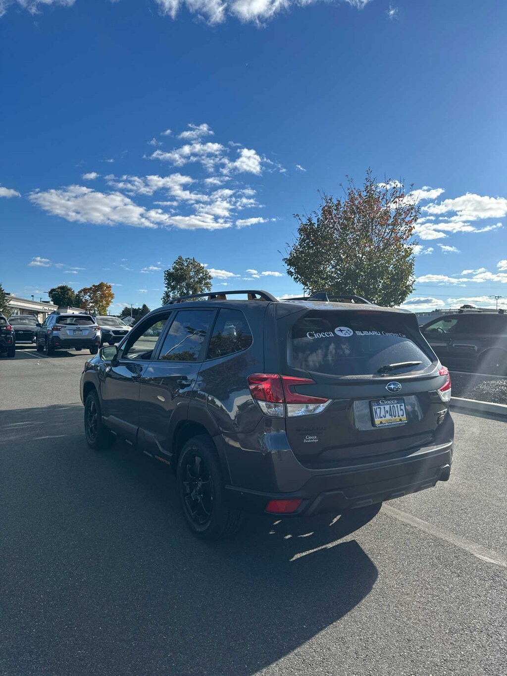Used 2024 Subaru Forester SUV For Sale in Allentown, PA Near Emmaus