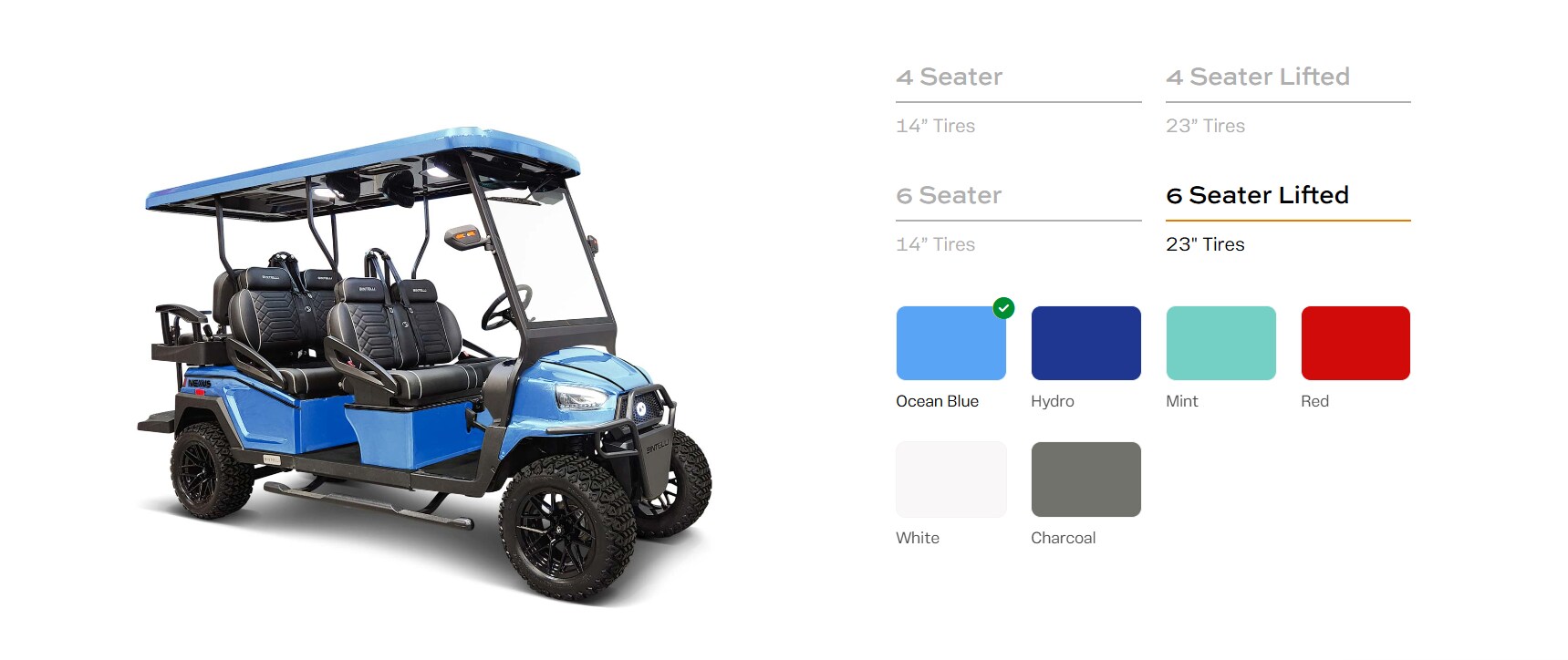2025-04-22%2013_17_46-The%20Bintelli%20Nexus%20Street-Legal%204%20and%206%20Seater%20Golf%20Cart.png