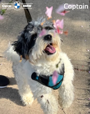 Owner%3A%20Tom%20Defelice-%20Founder%20%26%20President