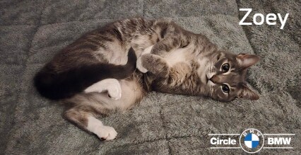 Owner%3A%20Tom%20Defelice-%20Founder%20%26%20President